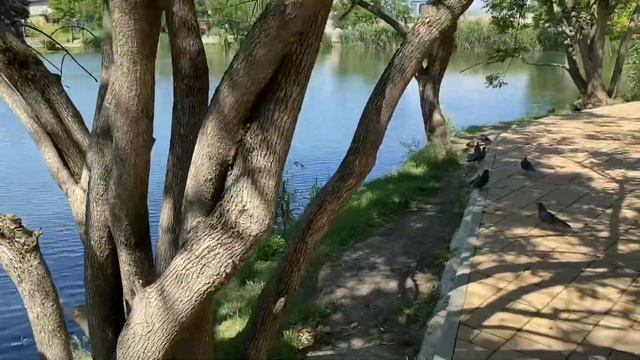 На Озерки. Моя мода вязаная одежда смотреть онлайн