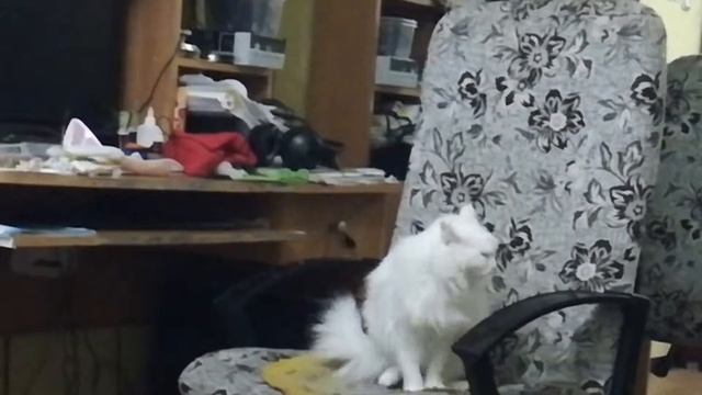 Самая грустная песня во всей Ленной!!! ПОПРОБУЙ НЕ ЗАПЛАЧЬ! ;-( смотреть онлайн