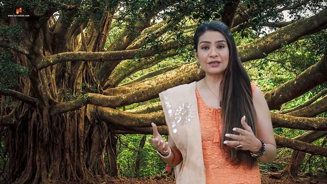 Secrets of the Banyan Street by Dr. Larra Shah смотреть онлайн