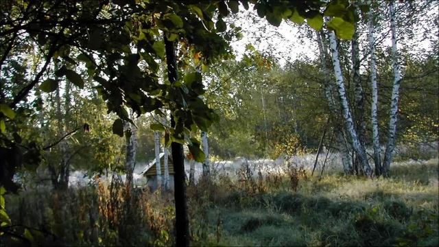 Иеромонах Роман. «Не омрачить бы ненароком совесть...» смотреть онлайн