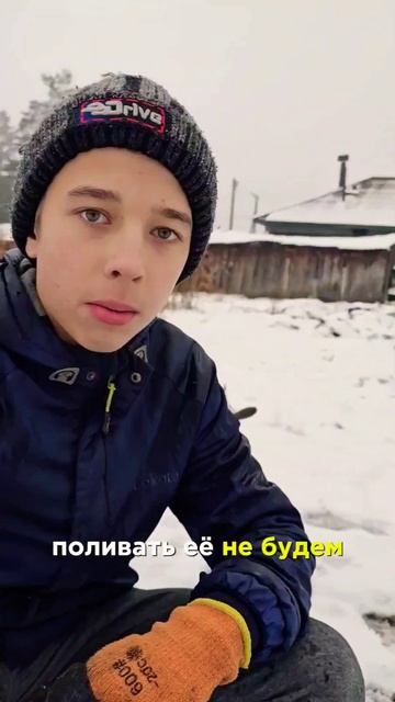 садим озимые помидоры#деревня #село#жизнь_в_деревне #приколы#юмор#навоз#огород #осень#помидоры#зима смотреть онлайн