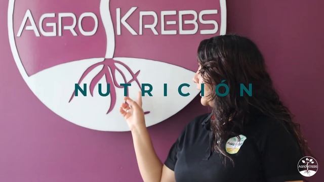 Importancia de las raíces para el correcto crecimiento y desarrollo de las plantas смотреть онлайн