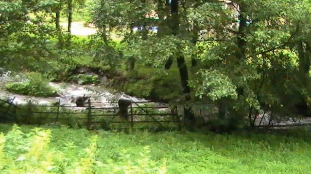 Robesti , Jud Valcea смотреть онлайн