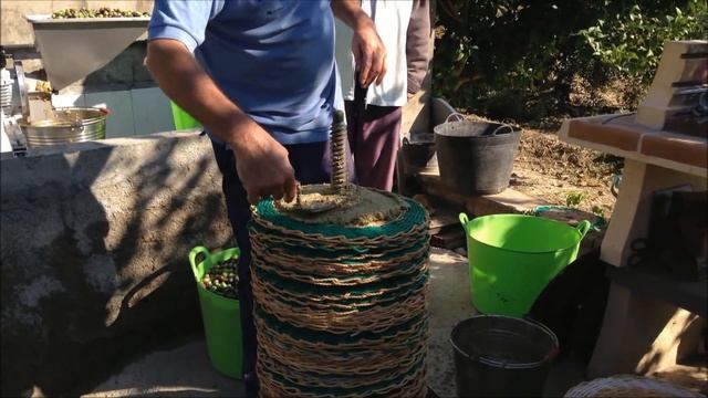 hacer aceite de oliva casero prensado en frio смотреть онлайн