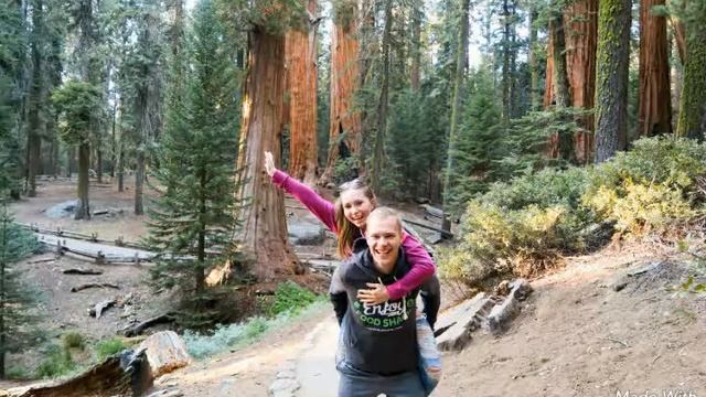 ScattyFamily chnnel смотреть онлайн