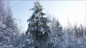 Иеромонах Роман. «Слава Богу, снова я один...»