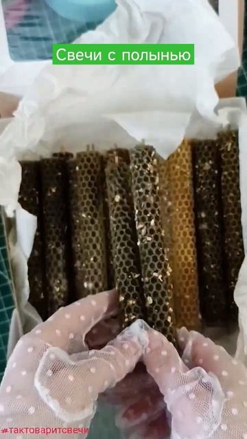 Полынь славная трава, для очищения она! #программныесвечи #свеча #магиясвечи #свечиизвоска #очищени смотреть онлайн