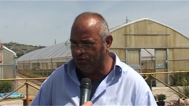 Bambini in fattoria смотреть онлайн