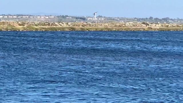 Tern Hunting смотреть онлайн