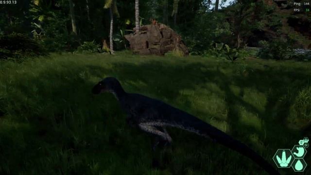 THE ISLE 