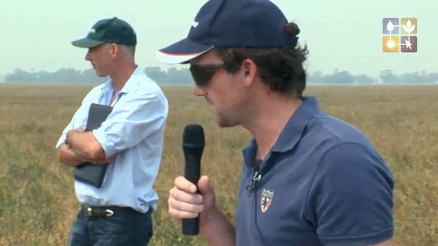 Evaluating lucerne variety production on centre pivot смотреть онлайн