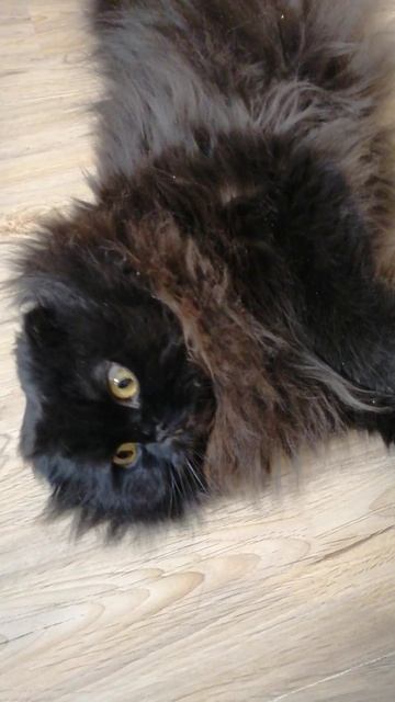 Что приготовить