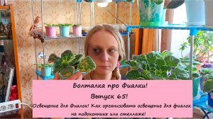 Болталка про Фиалки! Выпуск 65: Освещение для Фиалок! Как организовать освещение для фиалок!