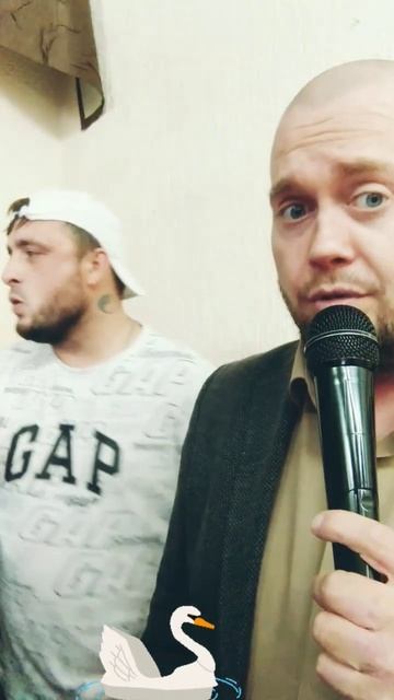 Белый лебедь на пруду.... #шансон #лесоповал #белыйлебедь #владимирхомченко #shorts смотреть онлайн