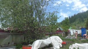 Дачные дела Грядки из металла