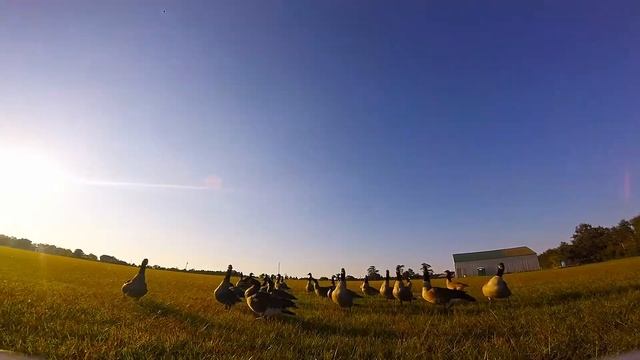 insert clever fpv title here.... смотреть онлайн