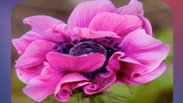 ПРИТЧА и АФОРИЗМ о НРАВСТВЕННЫХ ПРИНЦИПАХ смотреть онлайн