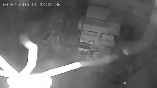 all 1 Камера04 20160402020153 20160402020319 2342429 смотреть онлайн