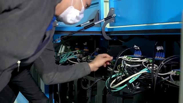 Линия сортировки черешни, 10 потоков смотреть онлайн
