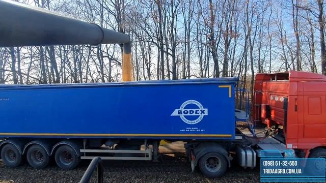 Нова кукурудзяна жатка Elibol MHS 8 в роботі смотреть онлайн