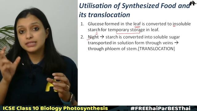 Photosynthesis | Chapter 6 Class 10 ICSE Biology | Selina смотреть онлайн