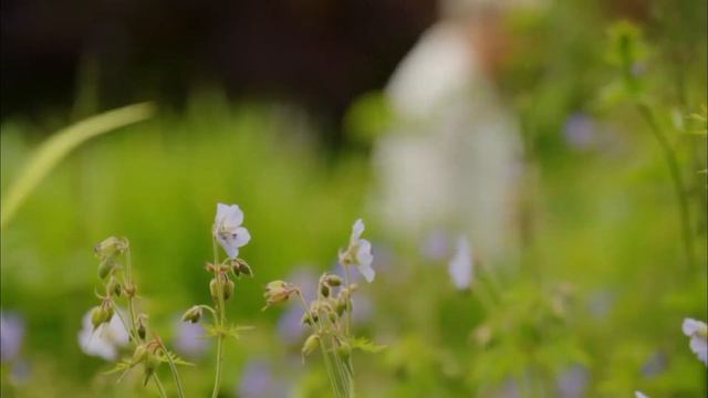Summer Gardening With Carol Klein S01E01