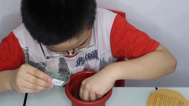 Planting Grow Kit Basil смотреть онлайн