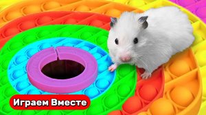 Лабиринт с ЧЕЛОВЕКОМ-ПАУКОМ для умного хомяка ! Видео для детей