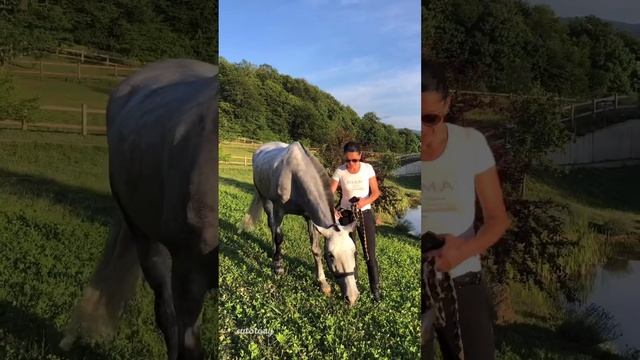 Инга Экзархо - руководитель фермы "Экзархо" смотреть онлайн