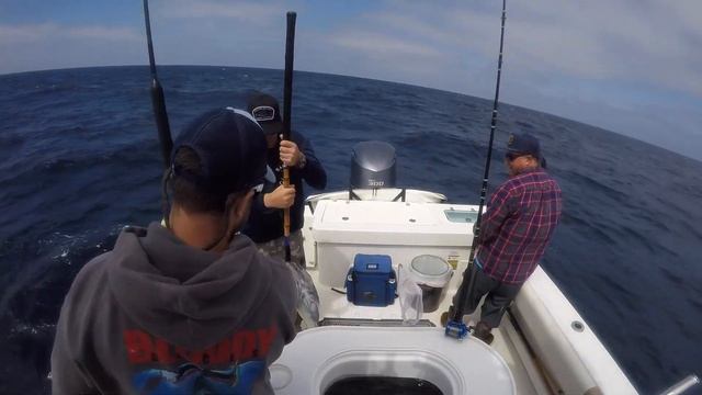 Yellowfin Tuna Stop - Southern California Offshore Fishing смотреть онлайн