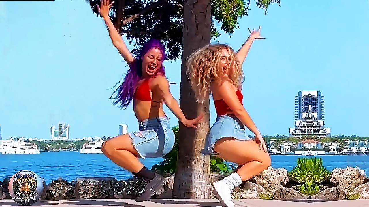 ♫ DJ Bobo - Love Is All Around (SN Studio Eurodance Remix) ♫ Shuffle Dance Video смотреть онлайн