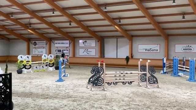 Famorka, Zidane x Cento mare 2010 M-class 1.20 mtr смотреть онлайн