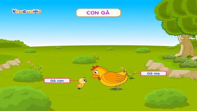 Khám Phá Khoa Học Mầm Non Phần 7 смотреть онлайн