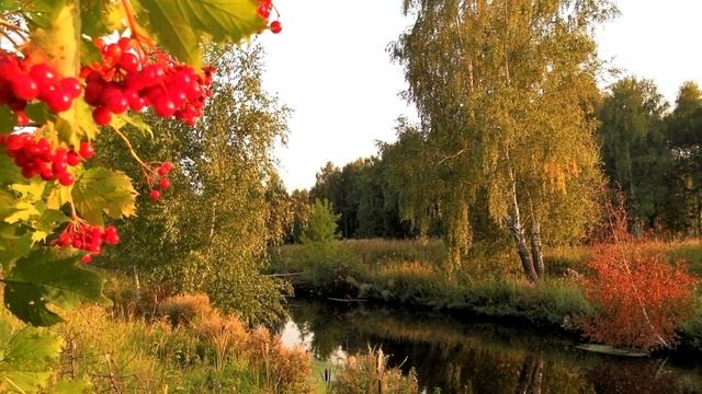 Горит рябина смотреть онлайн