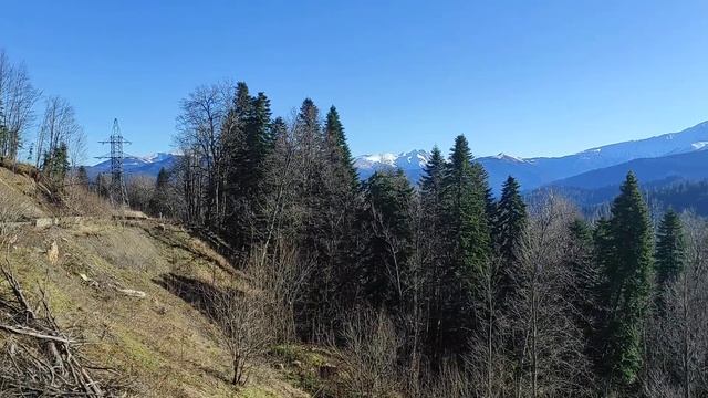 НУ С ДОБРЫМ УТРОМ 🤗👽🛸 смотреть онлайн