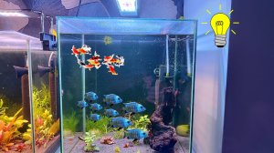 Новое освещение на кубике.