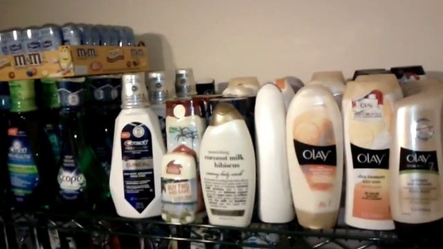 EMERGENCY Medical, Safety & Sanitation PREPPING ( SHTF WROL ) смотреть онлайн