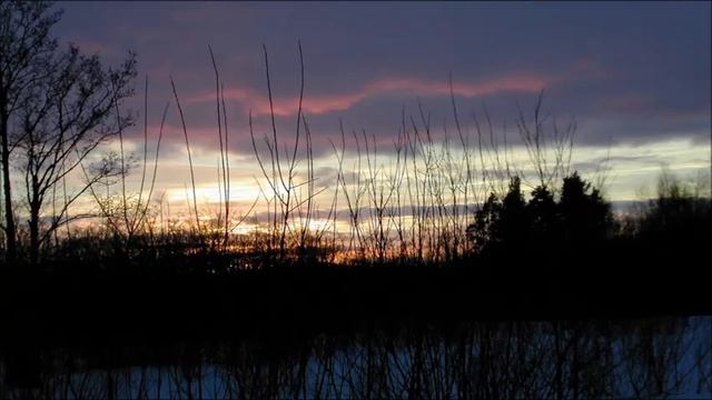 Иеромонах Роман. «Страх Господень - авва воздержания...» смотреть онлайн