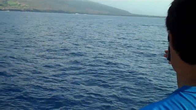 Whale Tale смотреть онлайн
