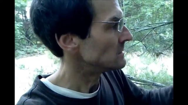 Pine pollen, natural source of testosterone 🚀 смотреть онлайн