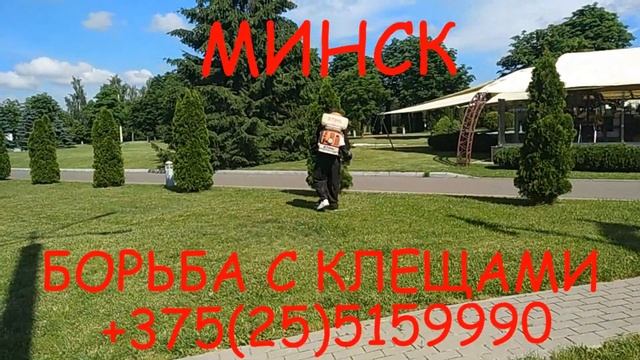 Акарицидная обработка в селе Силичи (Беларусь) дезинсекция от энцефалитных клещей. смотреть онлайн