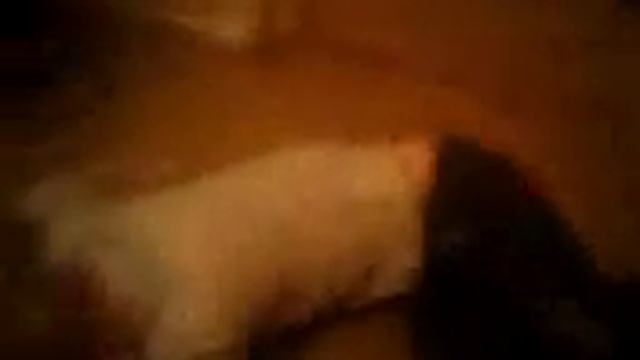 Чмо смотреть онлайн