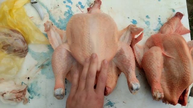 🍗снимаем перо в перосъемной машине🍗 смотреть онлайн
