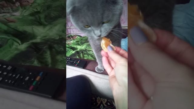 Валет кушает мандарин. смотреть онлайн