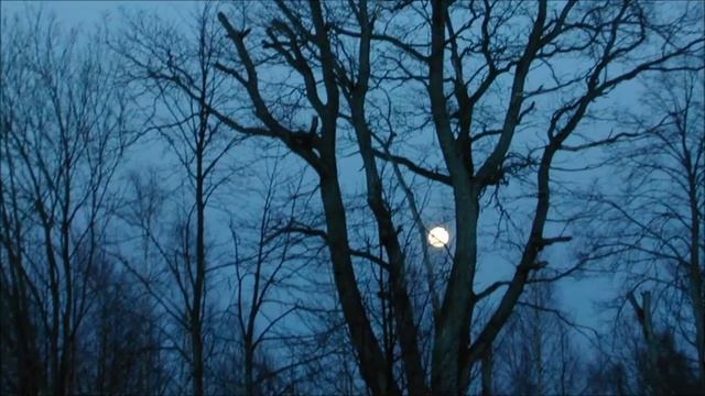 Иеромонах Роман. «Земную твердь луна оголубила…» смотреть онлайн