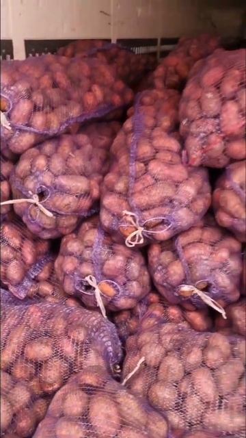 Задумайся об официальном бизнесе по реализации картофеля в своём регионе. Ниша свободна. Обеспечим. смотреть онлайн