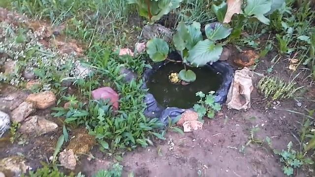 Сад в середине мая смотреть онлайн