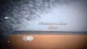 псенко о яйко яйко