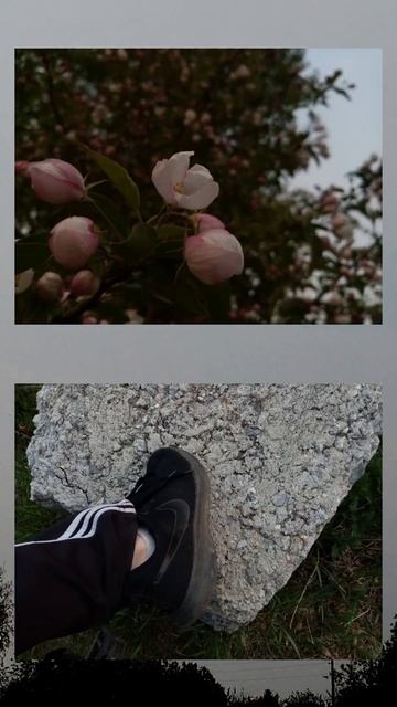 Красное Солнце гуляем по деревне *фото* смотреть онлайн