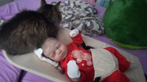 Влог с Тимом.